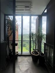 The Hillier (D23), Apartment #569795521